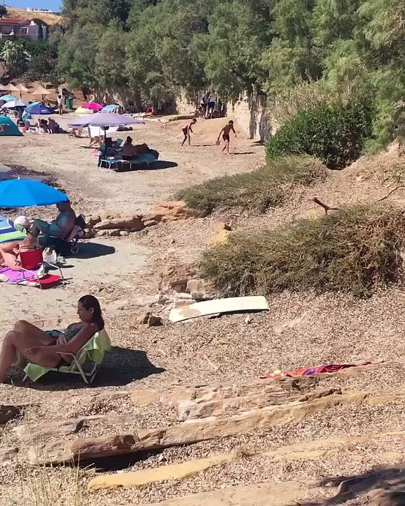 Άγριες Μέλισσες: Έχεις δει την Πηνελόπη με μπικ...
