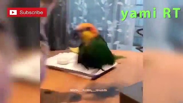 intenta no reirte 99999% impsible