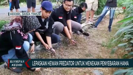 Tekan Penyebaran Hama Tanaman, Warga Lepas Satwa Predator Ke Alam Bebas