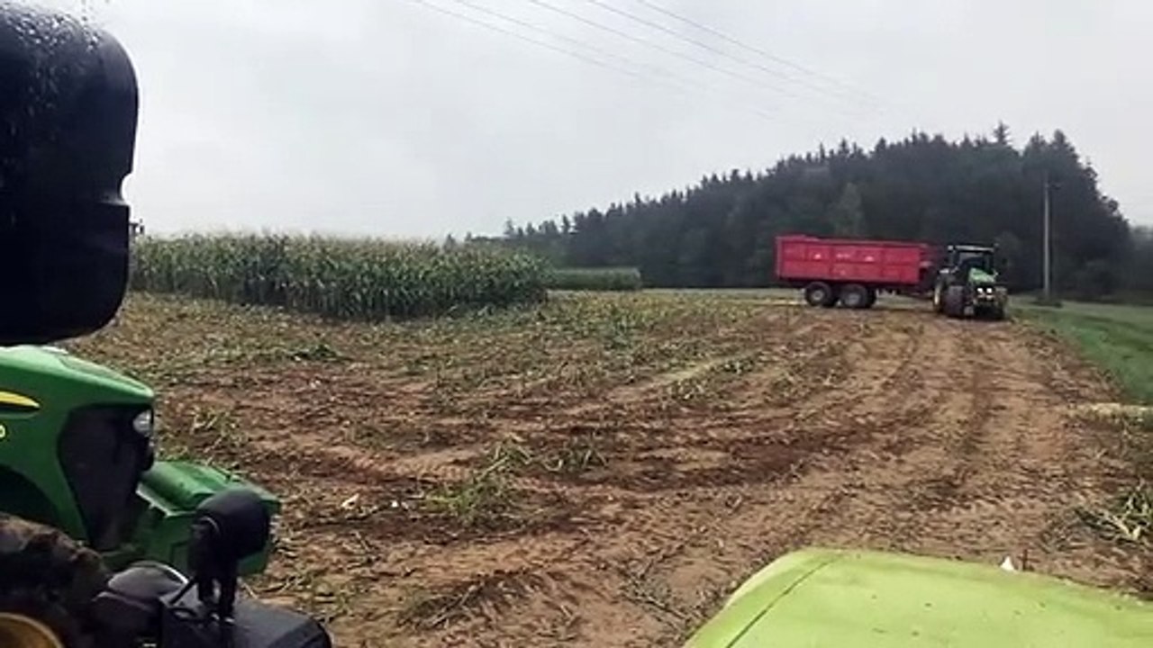 Surprise dans un champ pendant la moisson