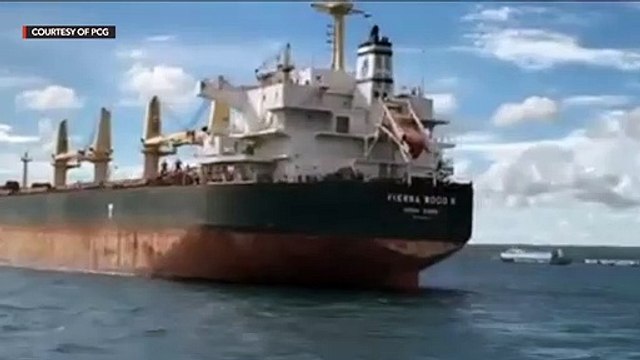 M/V Vienna Wood which collided with PH fishing boat