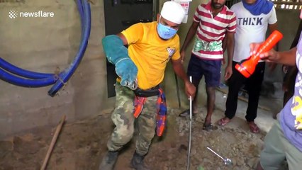 Over 40 cobra babies rescued with mother and 12 eggs in eastern India