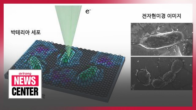 KAIST research team uses nano-particles to improve cancer treatment