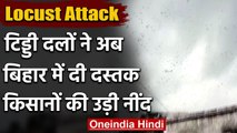 Locust Attack: देशभर में तबाही मचाने के बाद अब मोतिहारी में टिड्डियों का अटैक | वनइंडिया हिंदी