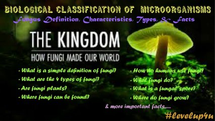 Fungi Economic Importance|Fungi General Characteristics And Classification|Fungi Food Source|Fungi Harmful Effects|Fungi Facts