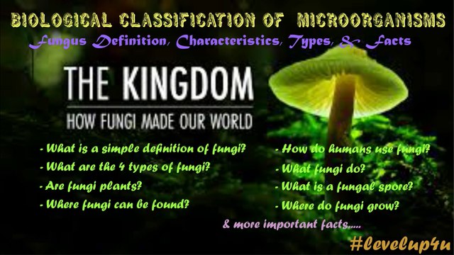 Fungi Economic Importance|Fungi General Characteristics And Classification|Fungi Food Source|Fungi Harmful Effects|Fungi Facts