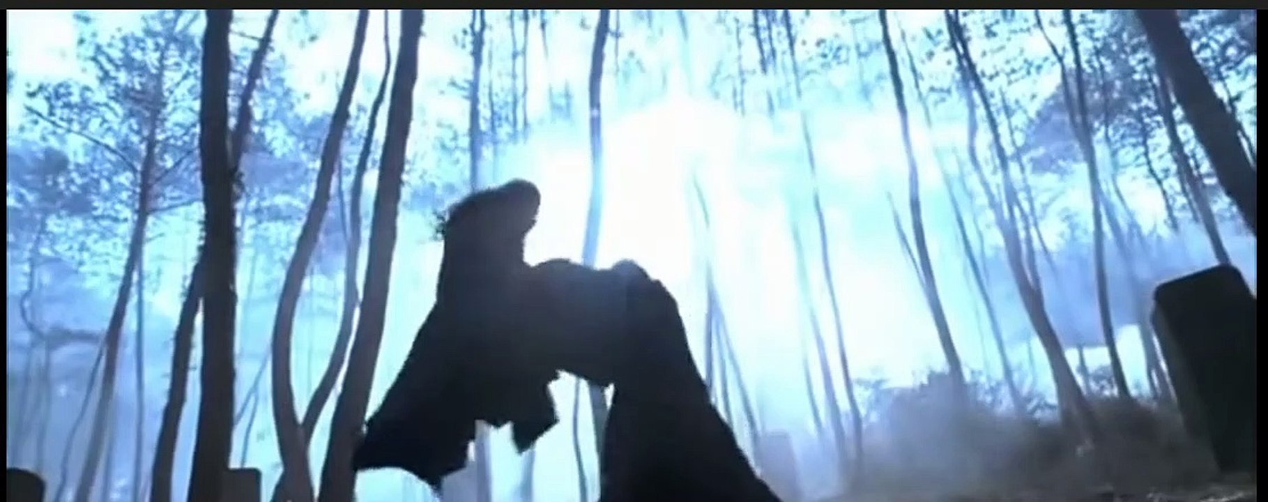 Donnie Yen Action clips - video clip of Action Movies