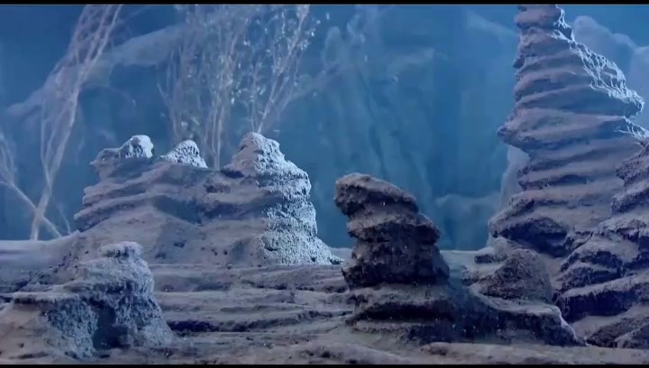 The White King, Final Battle, Taiwan, Anime