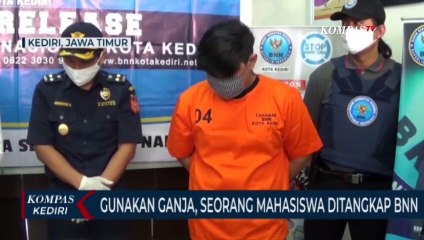Gunakan Ganja, Mahasiwa Diringkus BNN
