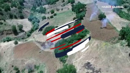 Bingöl'de, 1 milyon kök Hint keneviri ele geçirildi