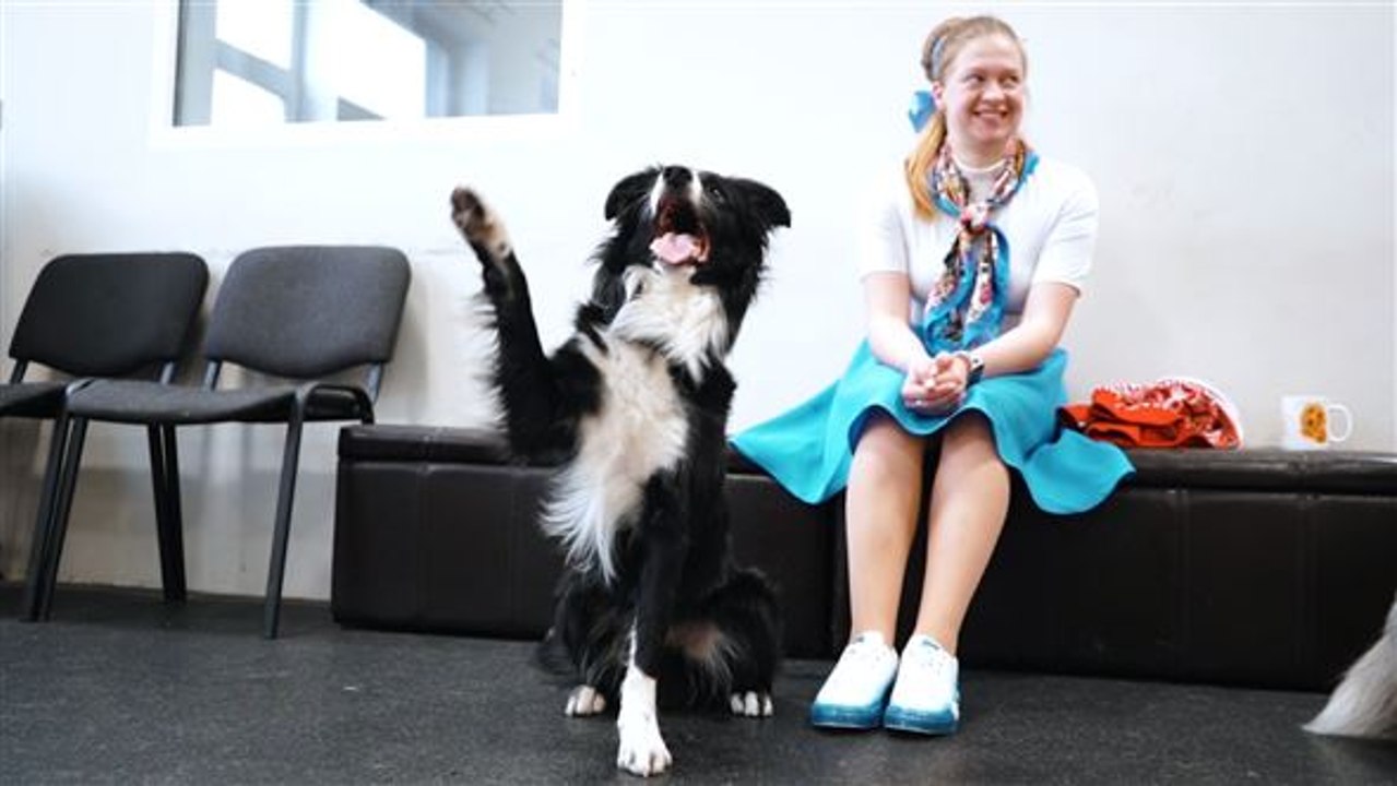 Larry bringt dich in den groove