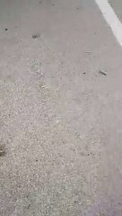 Litterbugs leave their rubbish along the coast at Seaburn and Whitburn