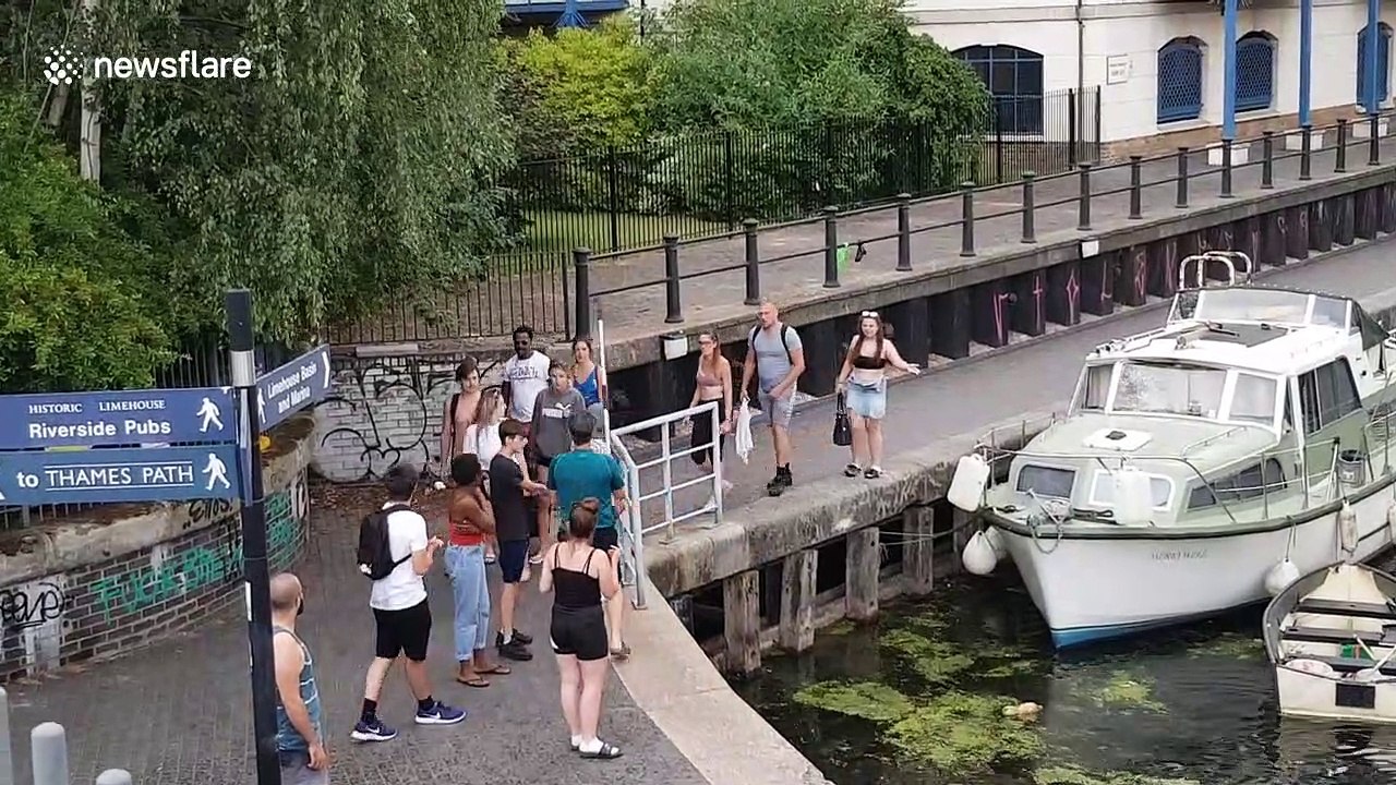 Man gets shoved into canal after standing up to girl who kicked swan