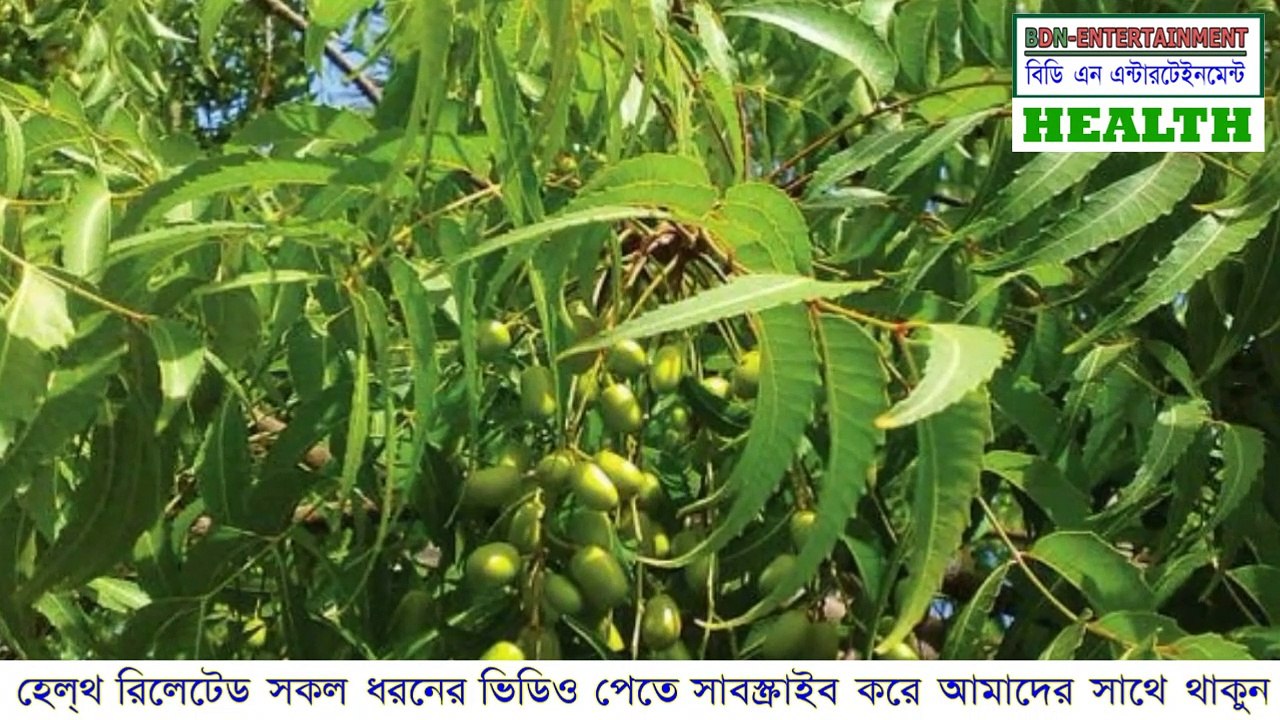 নিমপাতার উপকারিতা | Healthy lifestyle | Health tips bd | Happy life