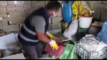 Minik kediler için iş makineleri çalışmayı durdurdu