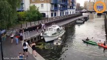 Londres : un homme poussé dans le canal après avoir affronté une fille qui a donné un coup de pied à un cygne