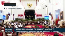 Jokowi Marah pada Menterinya, Ketum Projo: Presiden Sudah Bekerja Keras Tangani Corona