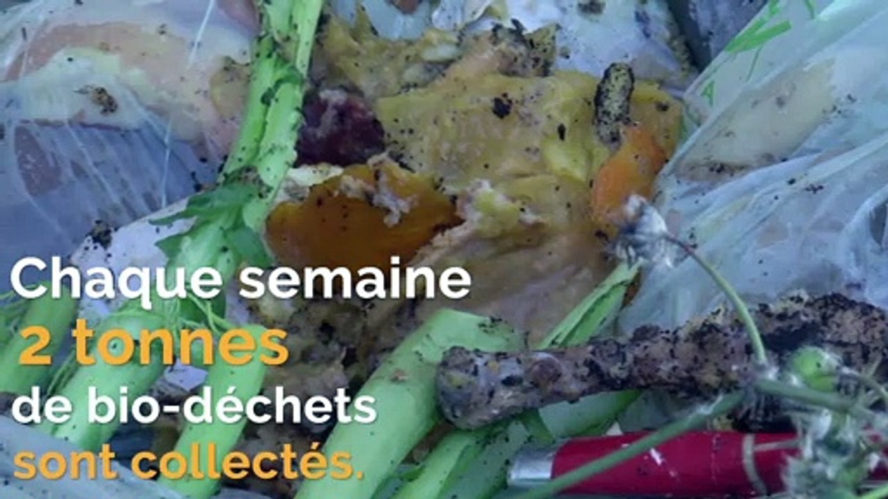 Collecte des bio-déchets et tri du verre, le Pays de Grasse, pionnier dans la réduction des déchets