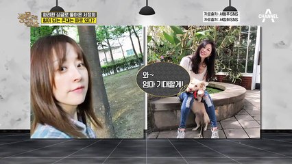 제2의 삶을 시작한 화려한♡싱글 '서정희' 아름다운 그녀의 당찬 홀로서기!