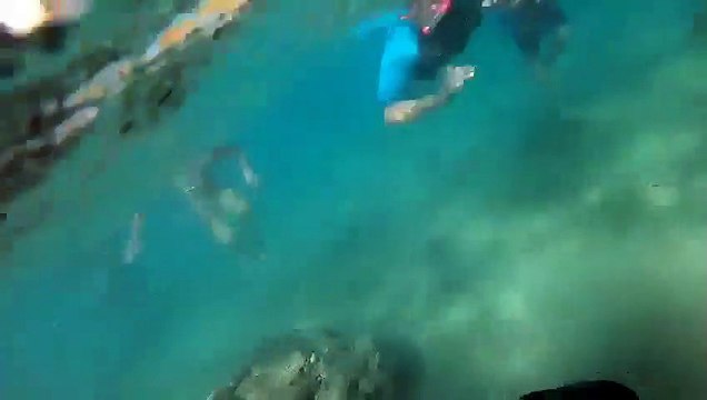 Il découvre plusieurs bagues d'une valeur de 10.000 $ sur une plage avec un détecteur de métaux