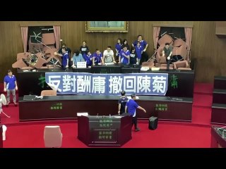 Taiwan opposition protests 'tyranny' in parliament