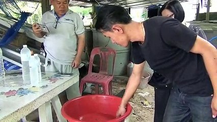 Thai man finds albino toad which he says is his lucky charm