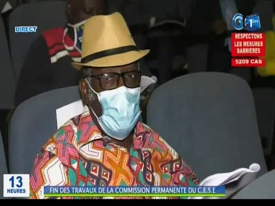 RTG - Fin des travaux du Conseil Economique Social et Environnemental (CESE) sur le projet de loi des finances rectificatives pour l’année 2020