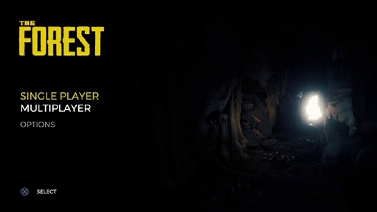 The Forest Part One