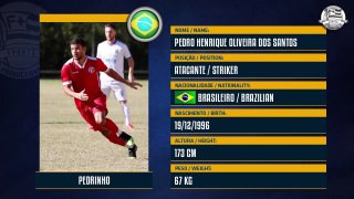 Pedrinho * Winger * Volta Redonda (BRA)