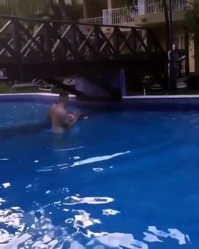 Ce pauvre flamant rose n'a pas vu le pont... paf