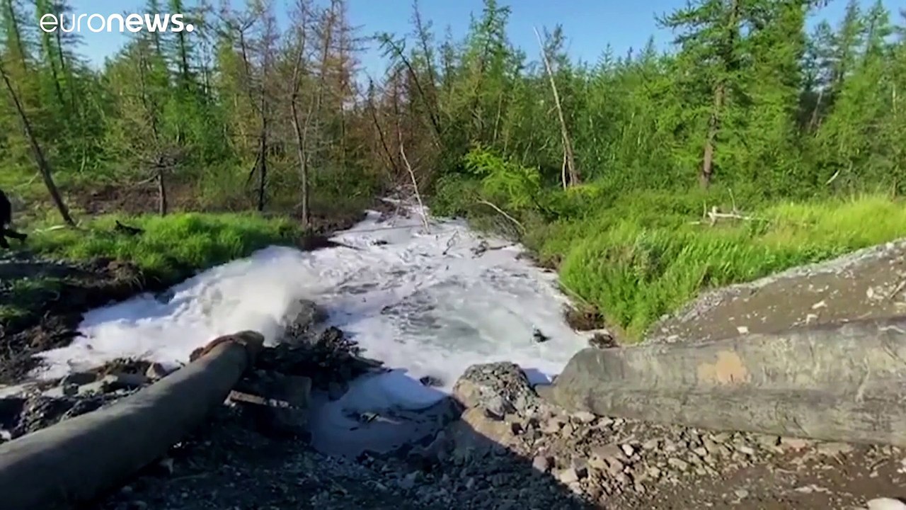 Katastrophe in russischer Arktis: Giftige Brühe fließt in die Natur
