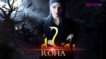 Horror Series Roha Ep 41 | Best Horror Television Series  |