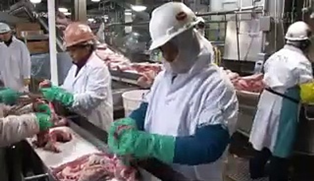 Why 1 million pigs could be euthanized due to COVID-19-related supply chain issues