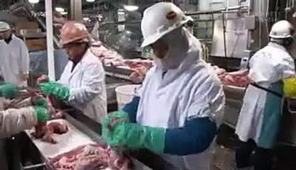 Why 1 million pigs could be euthanized due to COVID-19-related supply chain issues