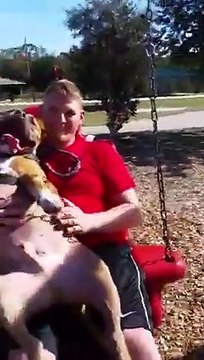 Ce chien ADORE faire la balançoire sur son maitre !