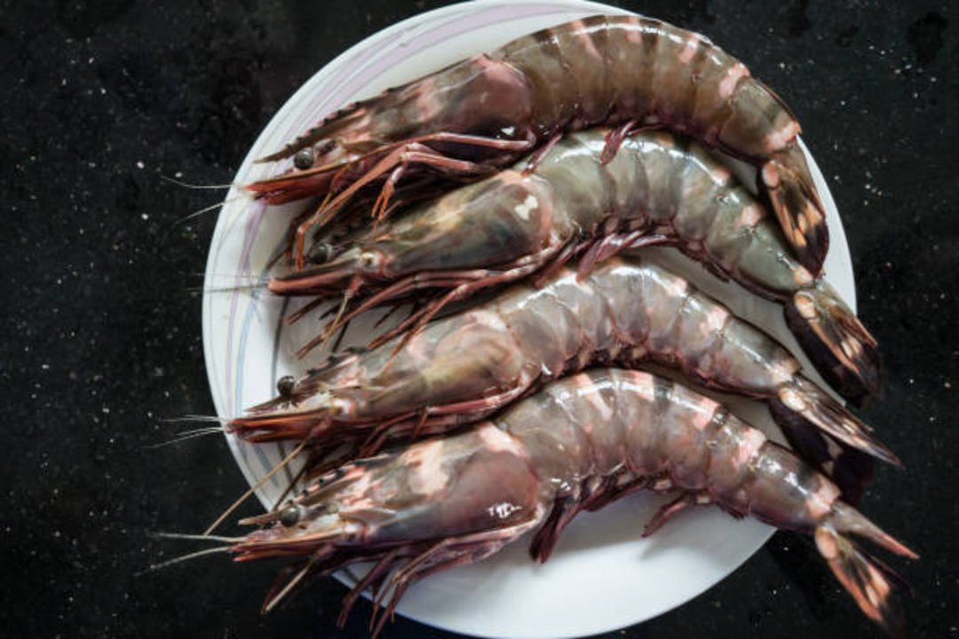 What's the Difference Between Shrimp and Prawns? video Dailymotion