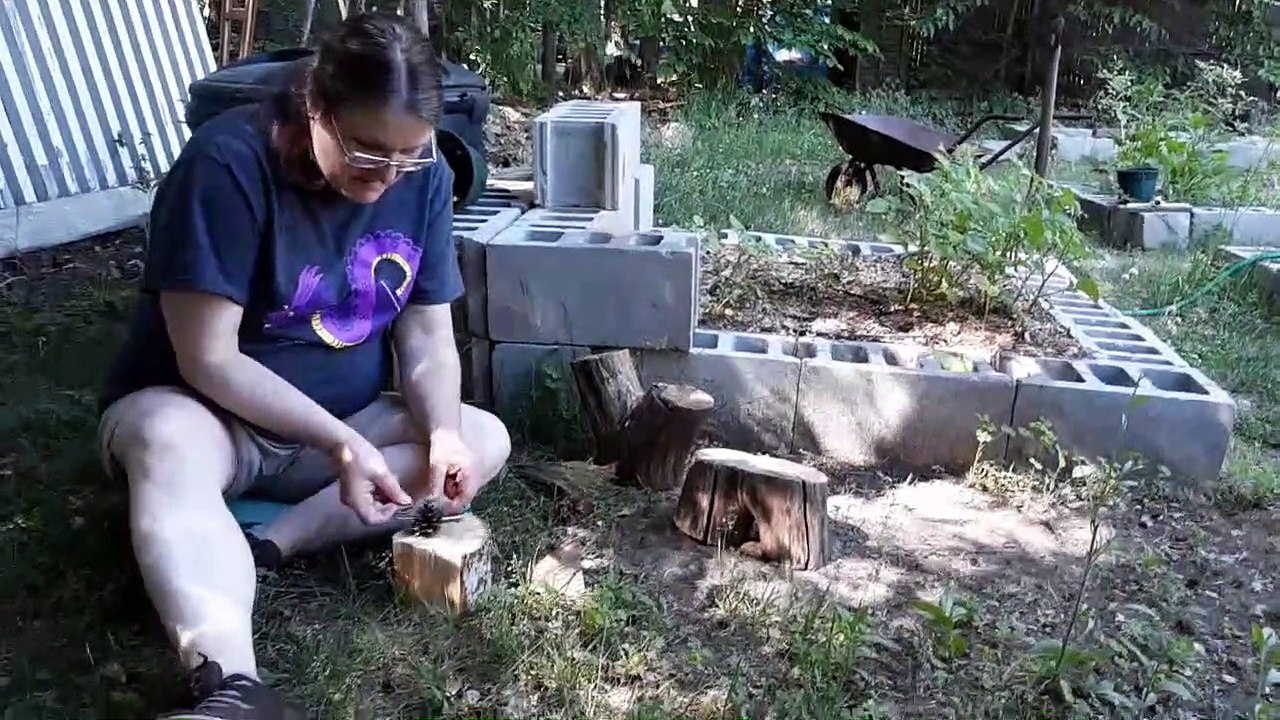 Magical Creatures Craft