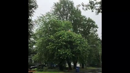 Pluie et feu