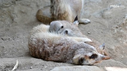 [굿모닝월드] 귀여운 애 옆에 귀여운 애