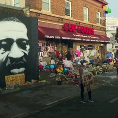 US Bullied Countries Out of Racism Investigation