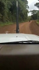 route Bukavu Miti Bunyakiri praticable   Action Fatshi