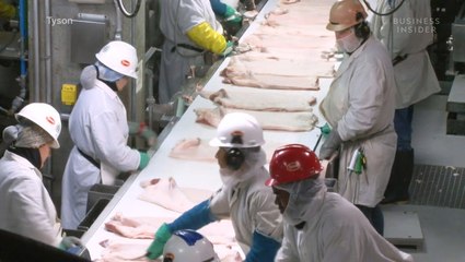 Why 1 million pigs could be euthanized due to COVID-19-related supply chain issues