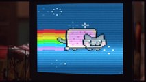 Jim Carrey gets Nyan'd