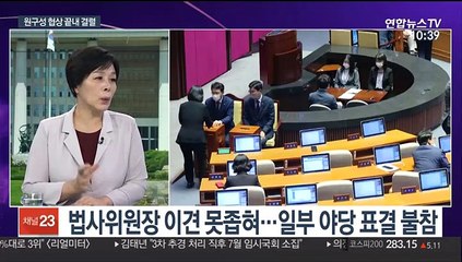 [뉴스포커스] 21대 국회 원구성 협상 결렬…35년 만에 과반1당 체제로