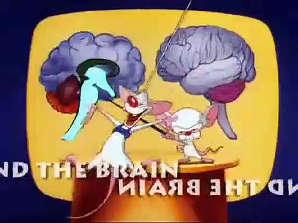 Pinky y Cerebro - Mi Feldmans,mi amigo