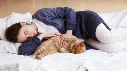 Emang Boleh Bobo Bareng Kucing?