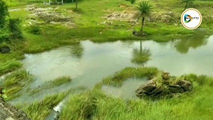 এক নজরে দেখে নিন জেলার ১০ দিকের ১০ বাছাই খবরের আপডেট।