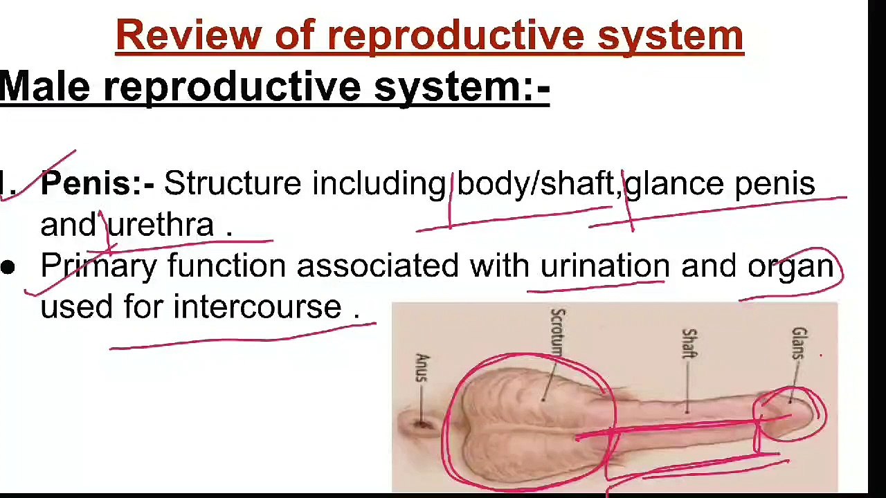 Introduction to OBG