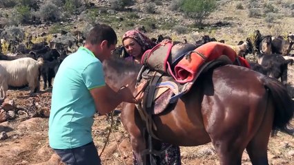 Egeli Karakeçili yörüklerinin mevsimlik göçü tamamlandı (1) - UŞAK