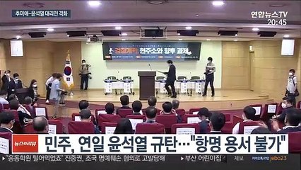 "尹 쿠데타" vs "秋 깡패짓"…여야 대리전 격화